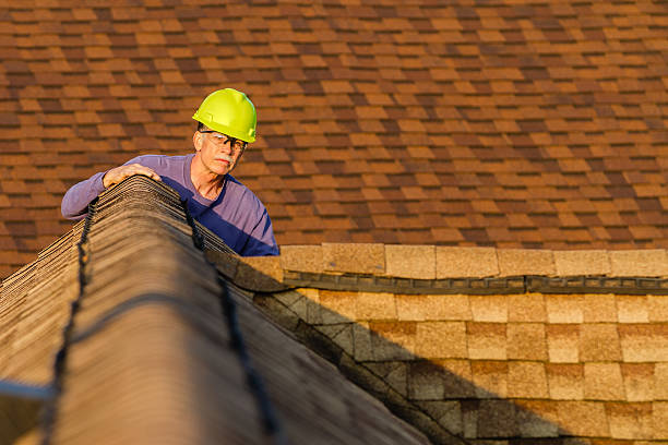 Best Roof Restoration Services  in Ligh, NE